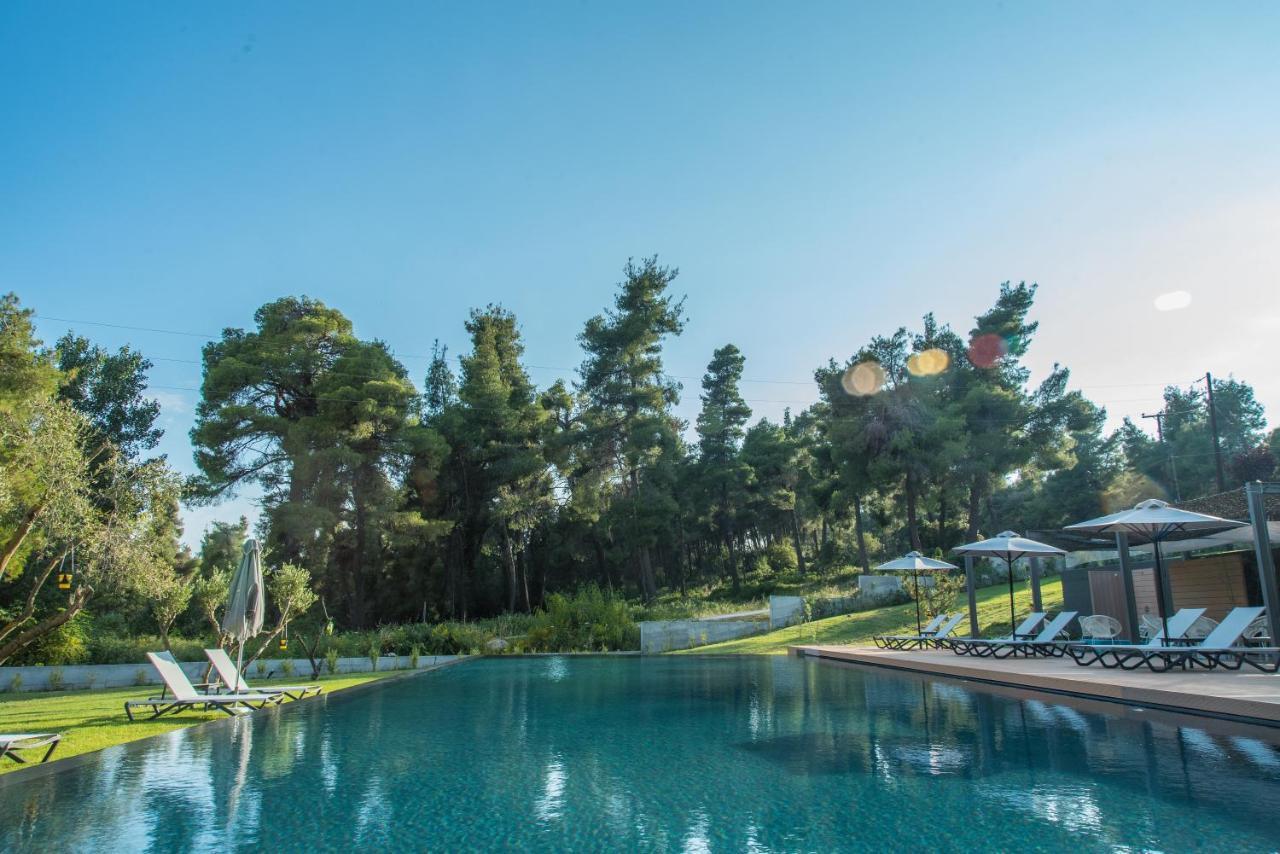 Sani More & Sani Woods (Adults Only) Εξωτερικό φωτογραφία