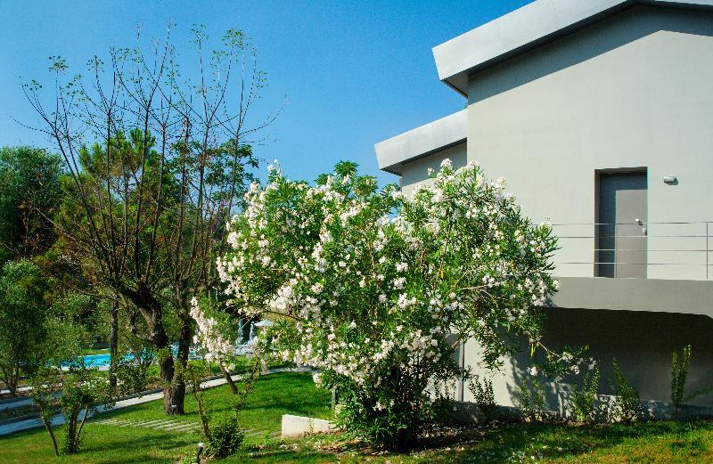 Sani More & Sani Woods (Adults Only) Εξωτερικό φωτογραφία