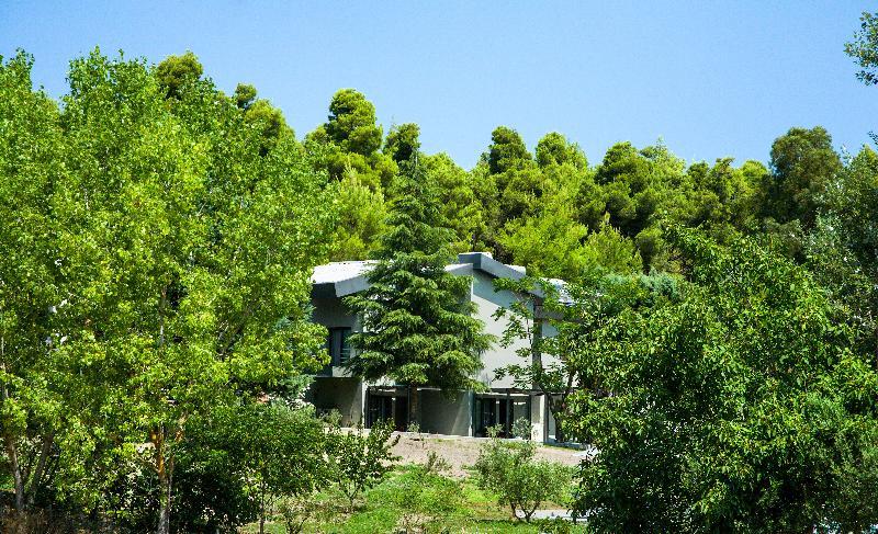Sani More & Sani Woods (Adults Only) Εξωτερικό φωτογραφία
